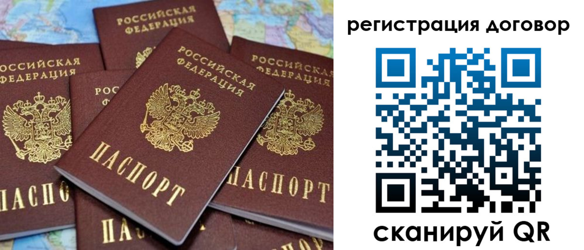 прописка гарантия в Фрязино